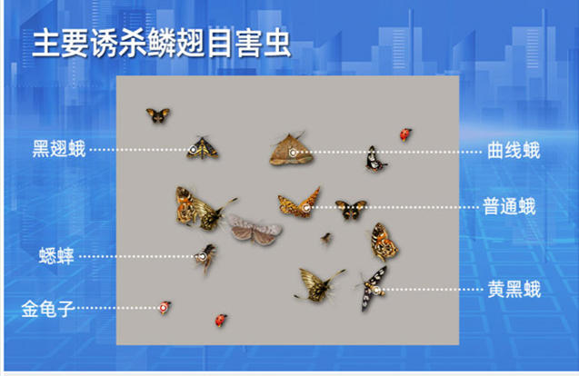 推桿式蟲情測(cè)報(bào)燈-(1).jpg
