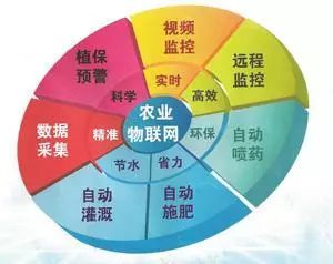 農業(yè)物聯網全介紹